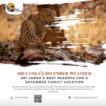 Sri Lanka’s Best Resorts for a December Family Vacation