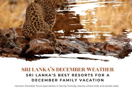 Sri Lanka’s Best Resorts for a December Family Vacation