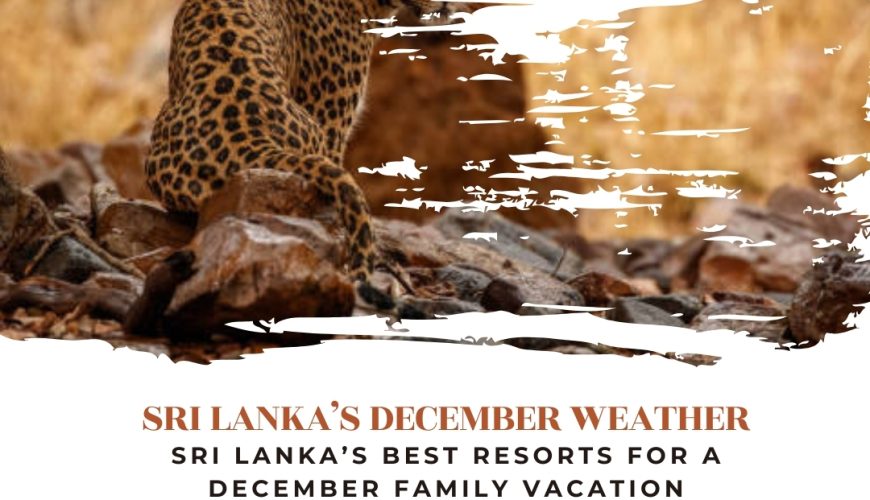 Sri Lanka’s Best Resorts for a December Family Vacation