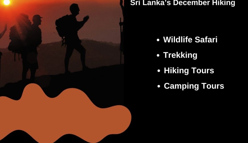 Adventurers the Ultimate December Events in Sri Lanka